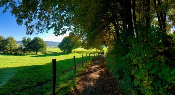 Provincie Limburg max payload unsplash